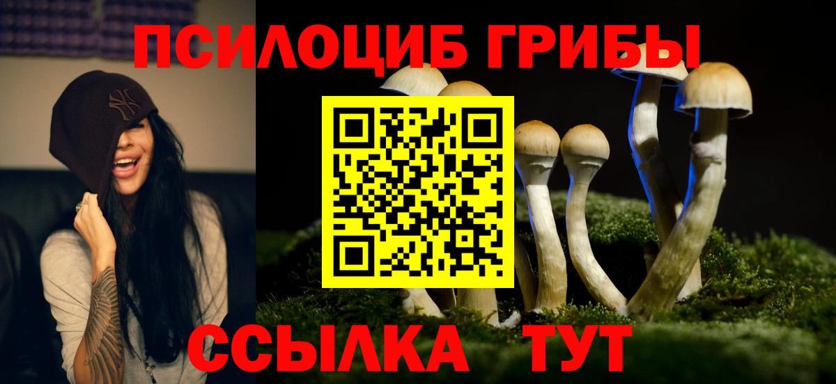 Галлюциногенные грибы Cubensis Югорск