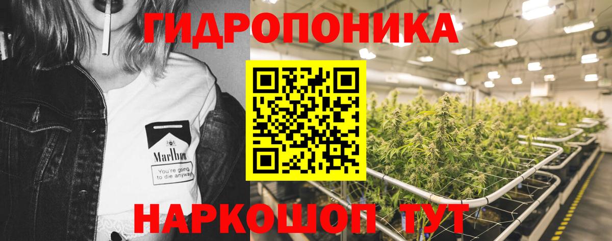 Канабис Bruce Banner Югорск